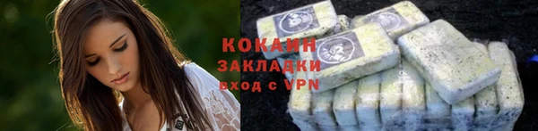 МДПВ Каменногорск