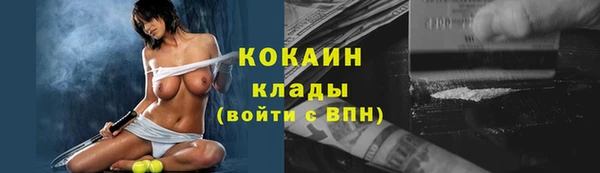 МДПВ Каменногорск