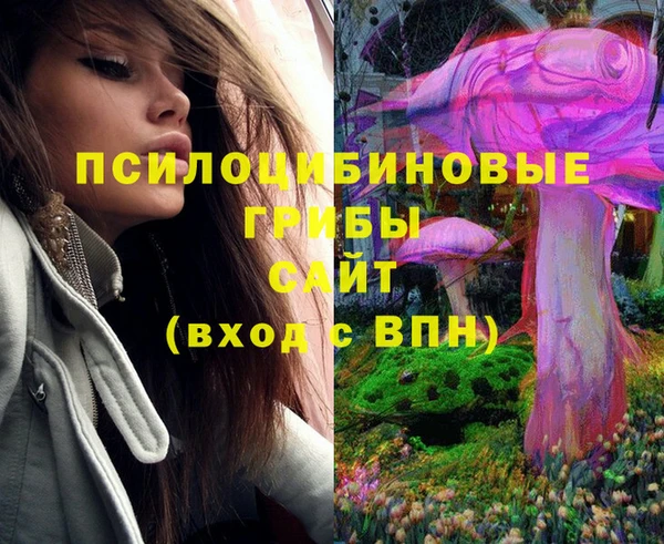 метадон Каменск-Шахтинский