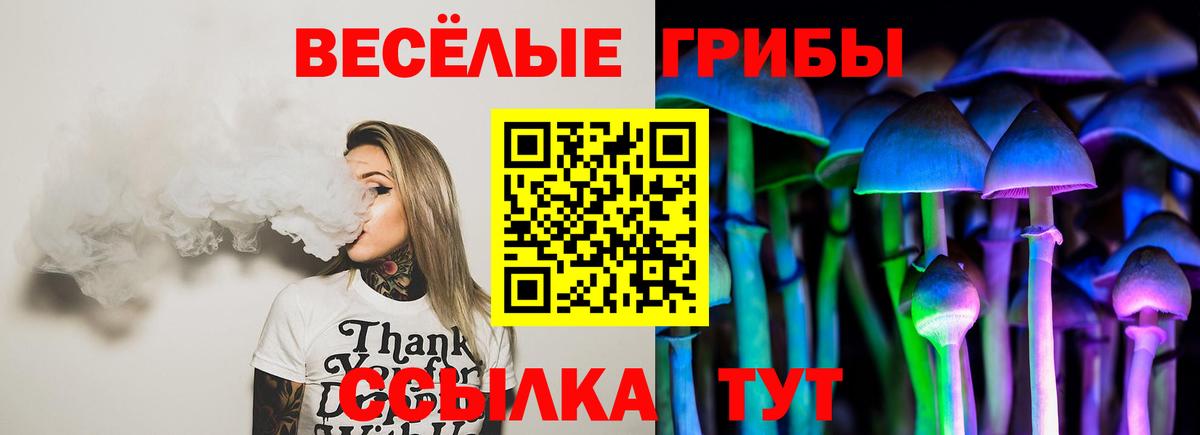 Псилоцибиновые грибы Psilocybe Реж
