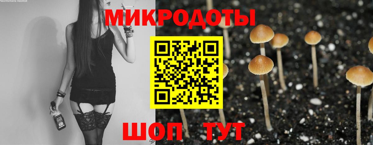 Реж  магазин продажи   Вход с VPN  Псилоцибиновые грибы мухоморы 